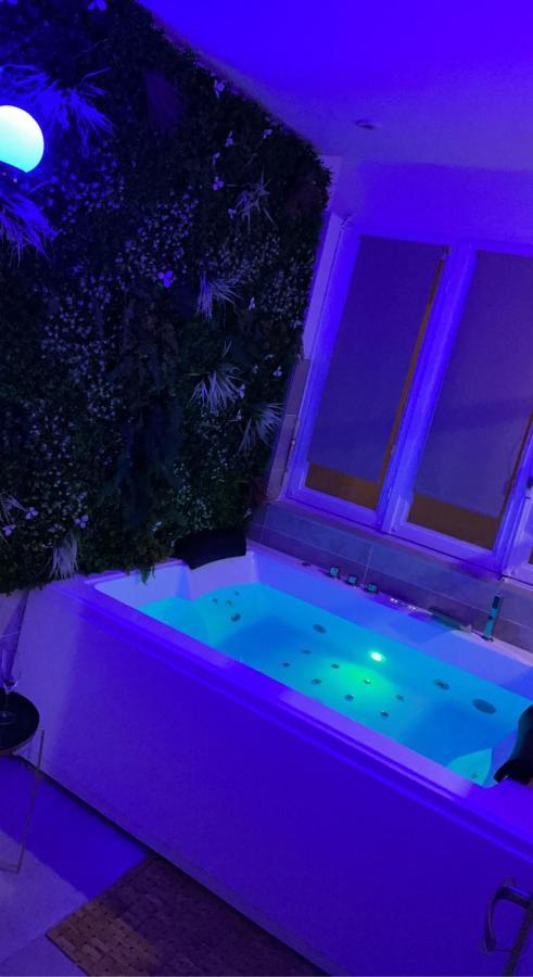 L'Extasia Appartement,Spa Jacuzzi Grenoble Zewnętrze zdjęcie